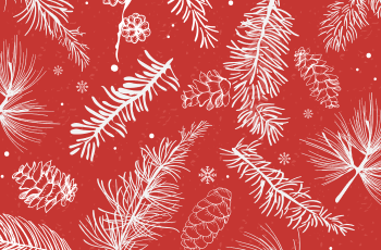 Новогодние праздники в библиотеках