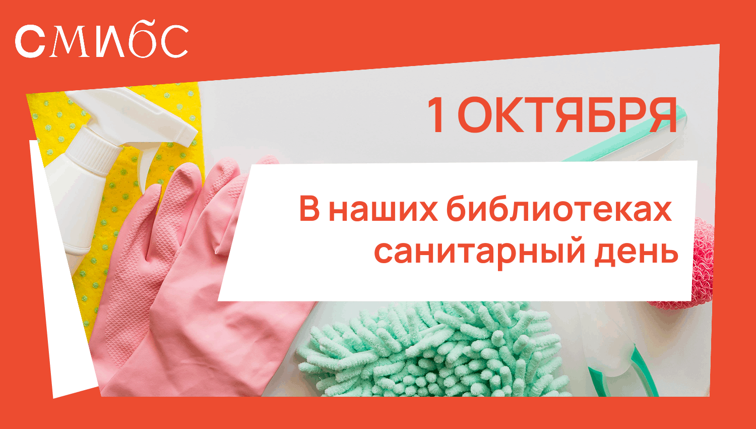 Санитарный день